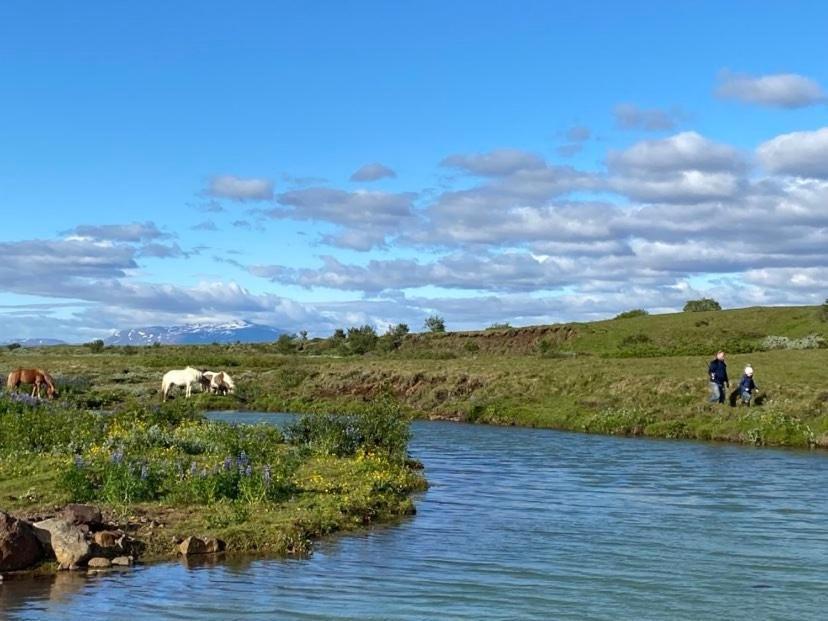 Golden Circle Private Farmhouse With Hot Tub Vila Selfoss Exterior foto